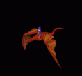 /album/fenykepgaleria/a538802-gif/